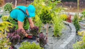 Maximizing the Use of a Landscaping Cost Calculator