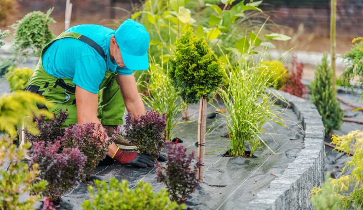 Maximizing the Use of a Landscaping Cost Calculator