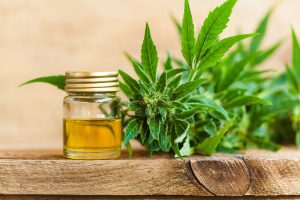 How to Choose the Right CBD Product for Your Needs